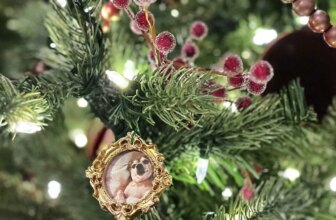 Learn how to Make DIY Classic Christmas Body Ornaments | Thrifty Decor Chick