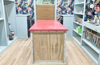 My Closet Island And A Battle Of Wills (Mom vs. Daughter)